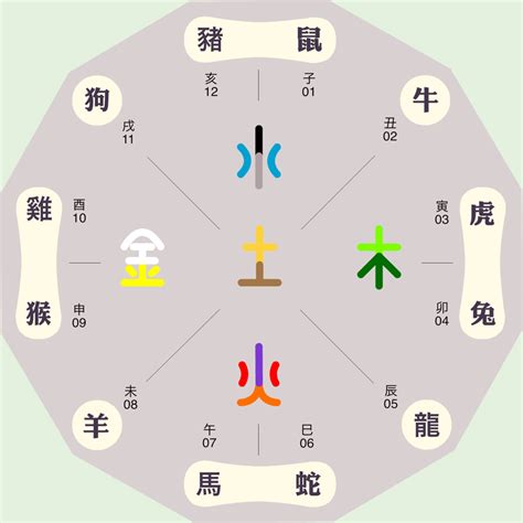 慧的五行|慧字的五行是什么,慧的五行属性及吉利寓意